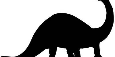 Животные 3896