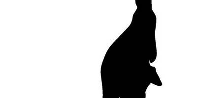 Животные 1306