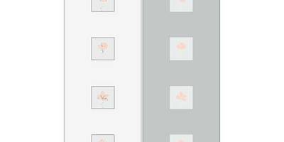 Прямоугольный орнамент 0263