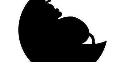 Животные 864