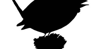 Животные 3424