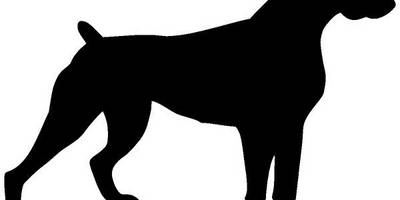 Животные 2004