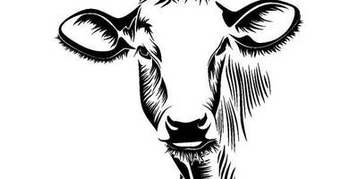 Животные 1165