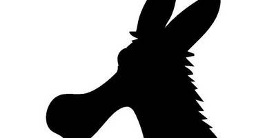 Животные 1317