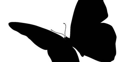 Животные 2599