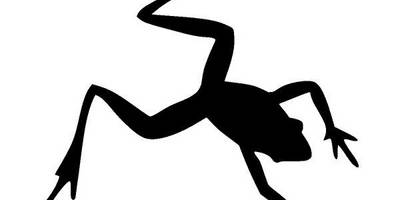 Животные 3791