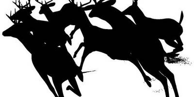 Животные 3530