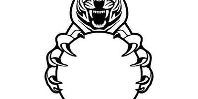 Виниловая наклейка на авто 69