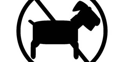 Животные 461