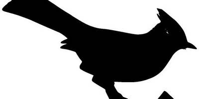 Животные 930