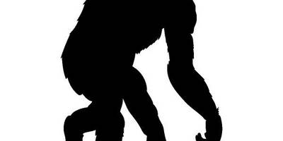 Животные 4120