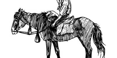 Животные 2591