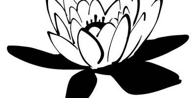 Цветы лилия 97