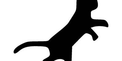 Животные 1613