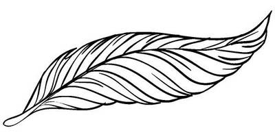 Животные 3332