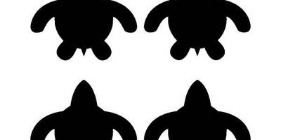 Животные 2272