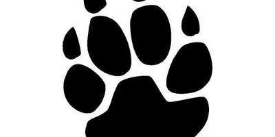 Животные 614