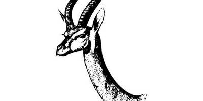 Животные 2561