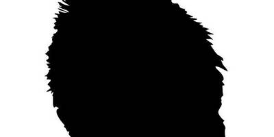 Животные 2241