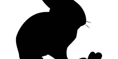 Животные 3368