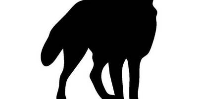 Животные 725