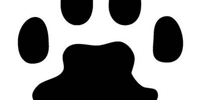 Животные 739