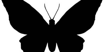 Животные 3142