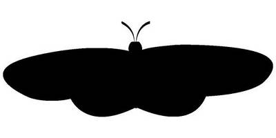 Животные 1508