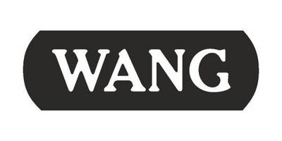 WANG COMPUTERS logo