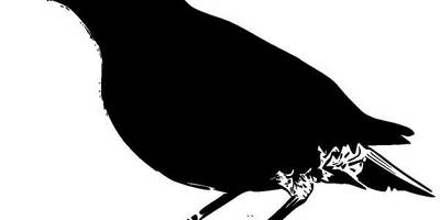 Животные 2492