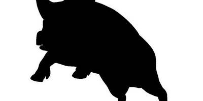 Животные 4067