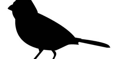 Животные 1184