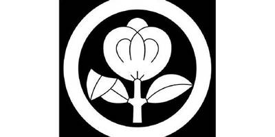 Японский узор 2607