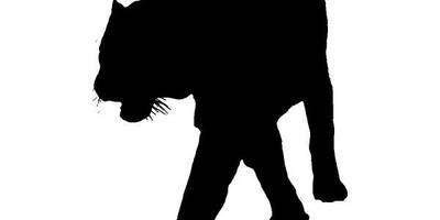 Животные 4014