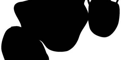 Животные 619