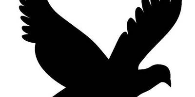 Животные 3562