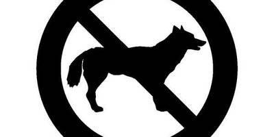 Животные 162