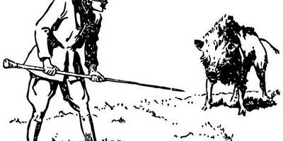 Животные 520