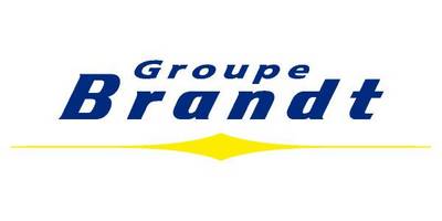 Brandt Group logo