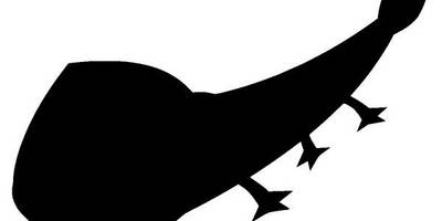 Животные 2069