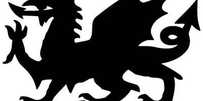 Животные 2704