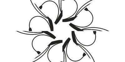 Орнамент цветы 410