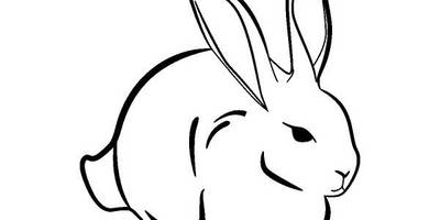 Животные 2178