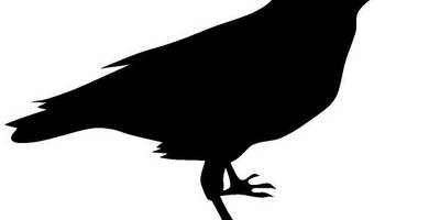 Животные 1481