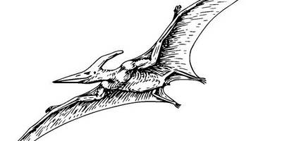 Животные 3808