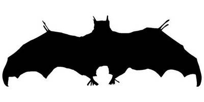 Животные 2055