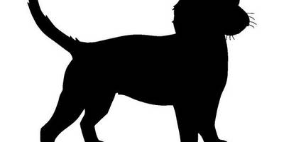 Животные 722