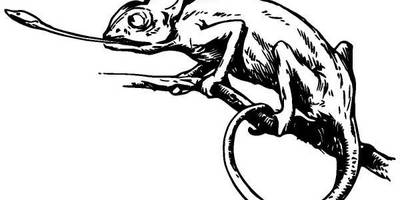 Животные 1261