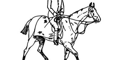 Животные 1042