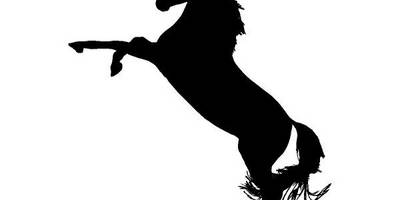 Животные 4084